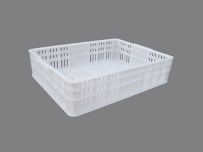 K404草莓视频免费黄片周轉筐